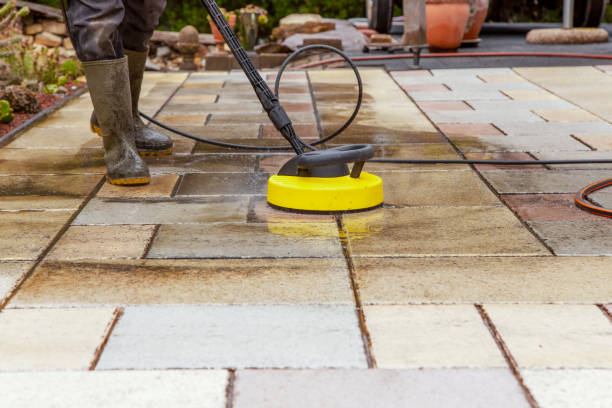 Best Oil Spill Cleanup  in Trowbridge Park, MI